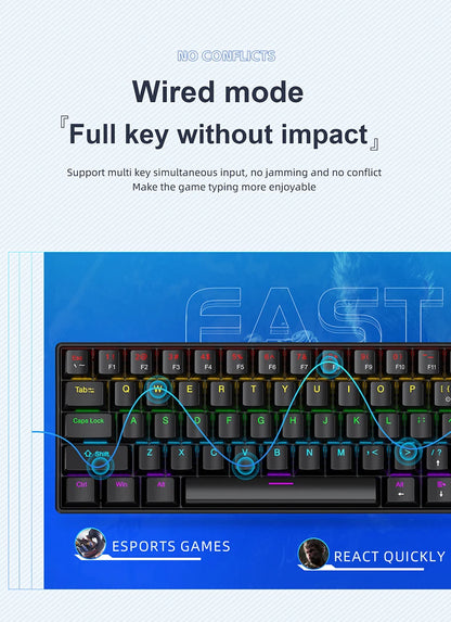 Tastiera meccanica da gaming cablata mini APAYADO K61 60% Phantom RGB, 61 tasti, switch Red/Blue, ergonomica, portatile per PC/laptop