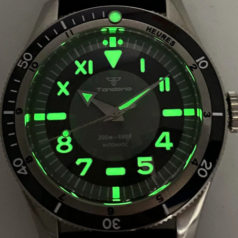 Tandorio Waterproof Watch Men Dome Sapphire Crystal Roman Numbers 120 Clicks Bezel NH35A/Miyota 8215 Movt Silicone Grey Dial