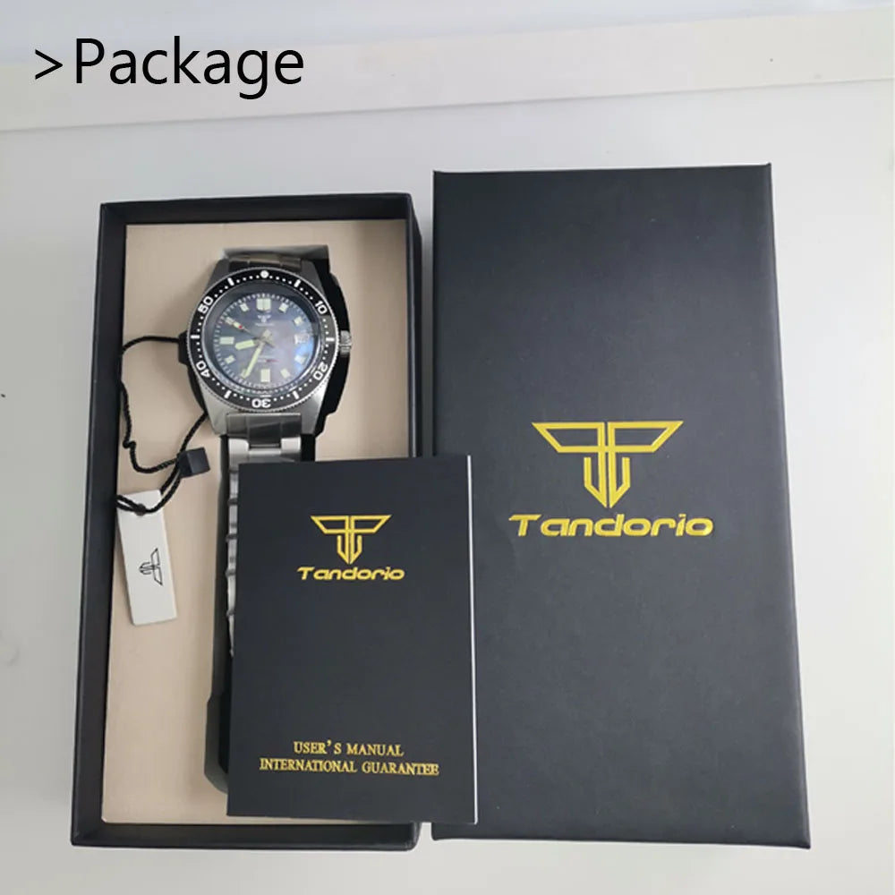 Tandorio Waterproof Watch Men Dome Sapphire Crystal Roman Numbers 120 Clicks Bezel NH35A/Miyota 8215 Movt Silicone Grey Dial