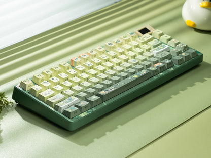 Womier SK80 Green Keyboard Gasket Mounted RGB Hot Swap with Color OLED Display 75% Mechanical Gaming Keyboard for PC