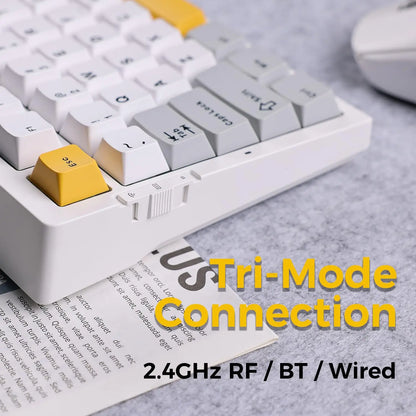 Tastiera meccanica wireless MCHOSE G75 Pro, layout 75%, montaggio gasket, 5 strati di smorzamento, retroilluminazione RGB, tri-mode, hot-swappable