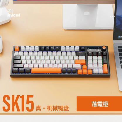 Spanish Mechanical Keyboard Spanish Russian Arabic Korean Thai Gaming Keyboard 95 Key Layout Backlight Type C With Numpad SK15