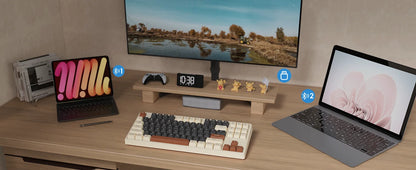 M87 Wireless Gaming Keyboard, Bluetooth 5.0/2.4GHz with Dual Mode 2-in-1 Receiver, 87 Keys TKL Rainbow LED Backlit Quiet Keyboar