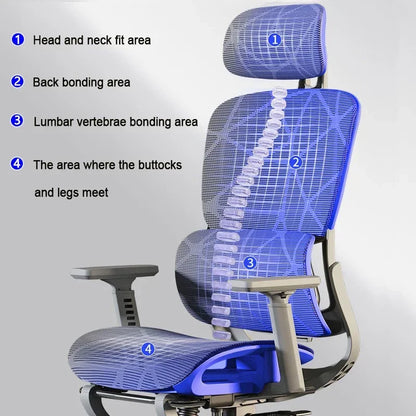 Gaming Chair  Adjustable Relax Ergonomic Office ChairStudy Long Sitting  Cadeira  Silla Gamer Office Supplies Daily Necessities