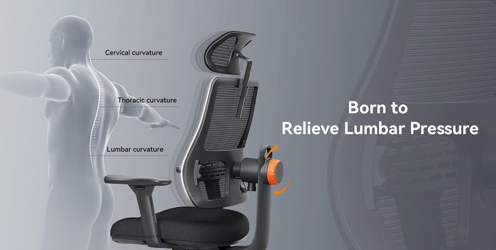 NEWTRAL MAGICH003 Ergonomic Office Chair with Adaptive Lumbar Support, Adjustable Headrest, 3D Armrests, Reclining Executive Desk Chair